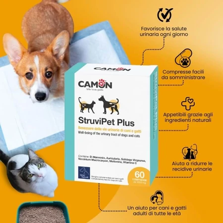 Camon Struvipet Plus – Nahrungsergänzungsmittel für Hunde und Katzen, 60 Tabletten