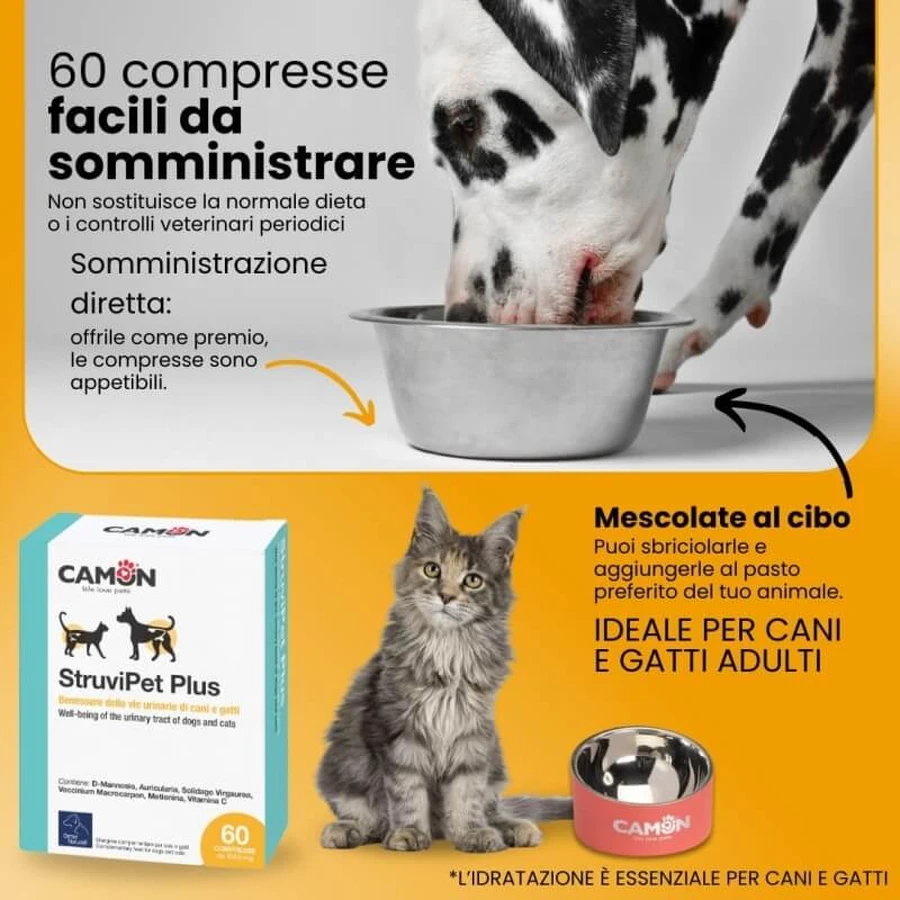Camon Struvipet Plus – Nahrungsergänzungsmittel für Hunde und Katzen, 60 Tabletten