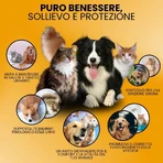 Camon Struvipet Plus – Nahrungsergänzungsmittel für Hunde und Katzen, 60 Tabletten