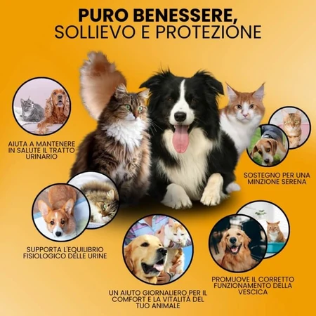 Camon Struvipet Plus – Nahrungsergänzungsmittel für Hunde und Katzen, 60 Tabletten