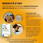 Camon Struvipet Plus – Nahrungsergänzungsmittel für Hunde und Katzen, 60 Tabletten