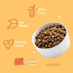 Edgard & Cooper Fresh Chicken Medium Hundefutter für ausgewachsene Hunde – Alleinfuttermittel für ausgewachsene Hunde, 7 kg