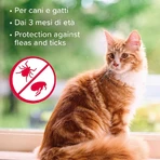 Beaphar Antiparasitic Shampoo a.p.e., specific treatment for ticks and fleas in dogs and cats, 200 ml