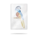 Pupa Parrot - Eyeshadow Palette No. 003 Rio