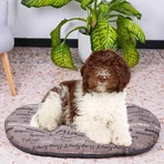 Ferplast Relax 78 – pernă ovală din bumbac lavabilă pentru câini și pisici, cu motiv urban maro, 78 x 50 cm