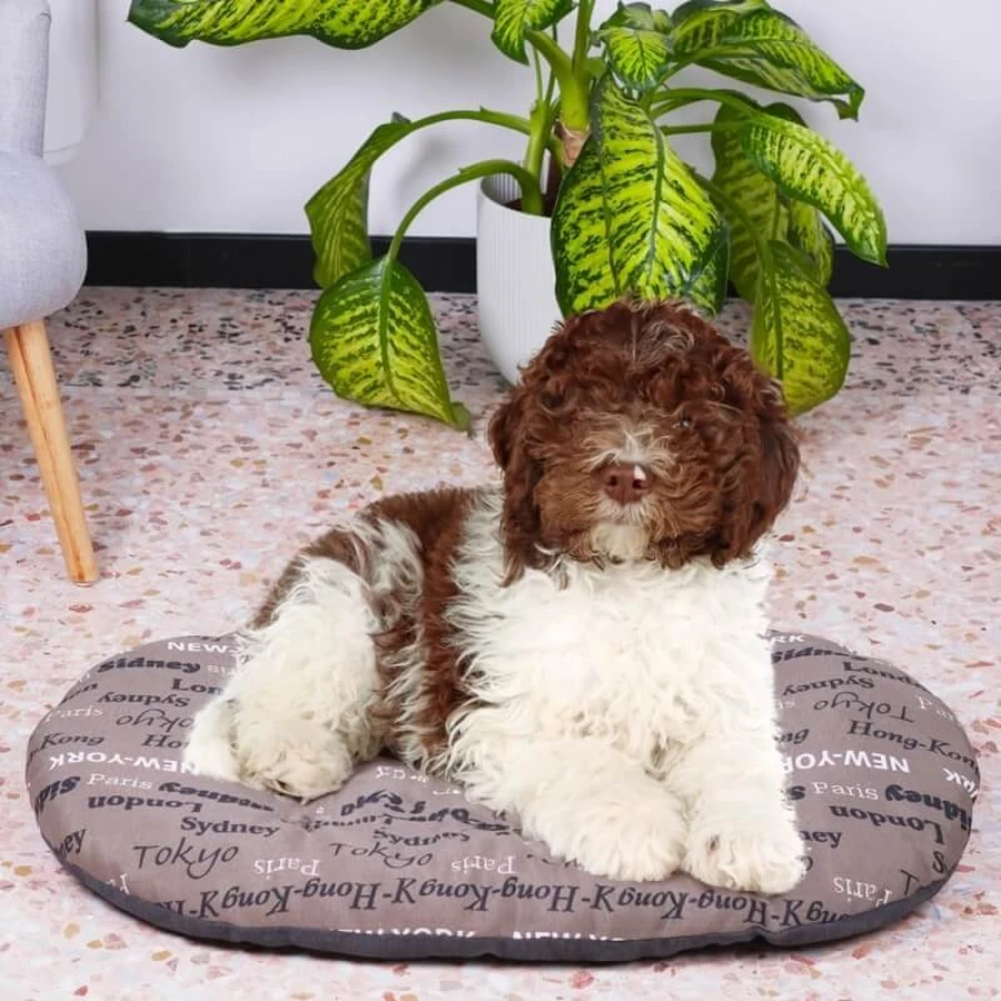 Ferplast Relax 78 – pernă ovală din bumbac lavabilă pentru câini și pisici, cu motiv urban maro, 78 x 50 cm