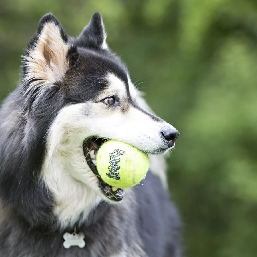 Kong Squeakair Balls - 3 small dog balls