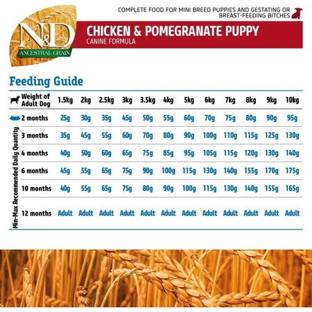 Farmina N&amp;d Ancestral Grain Puppy Mini with Chicken - Complete Dog Food, 800 g