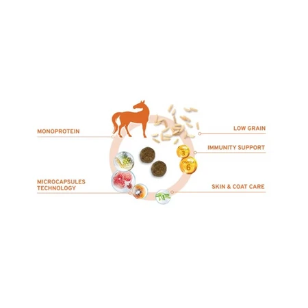 Forza10 Forza 10 dietă medie cu carne de cal și mazăre – hrană dietetică completă pentru câini, 12 kg