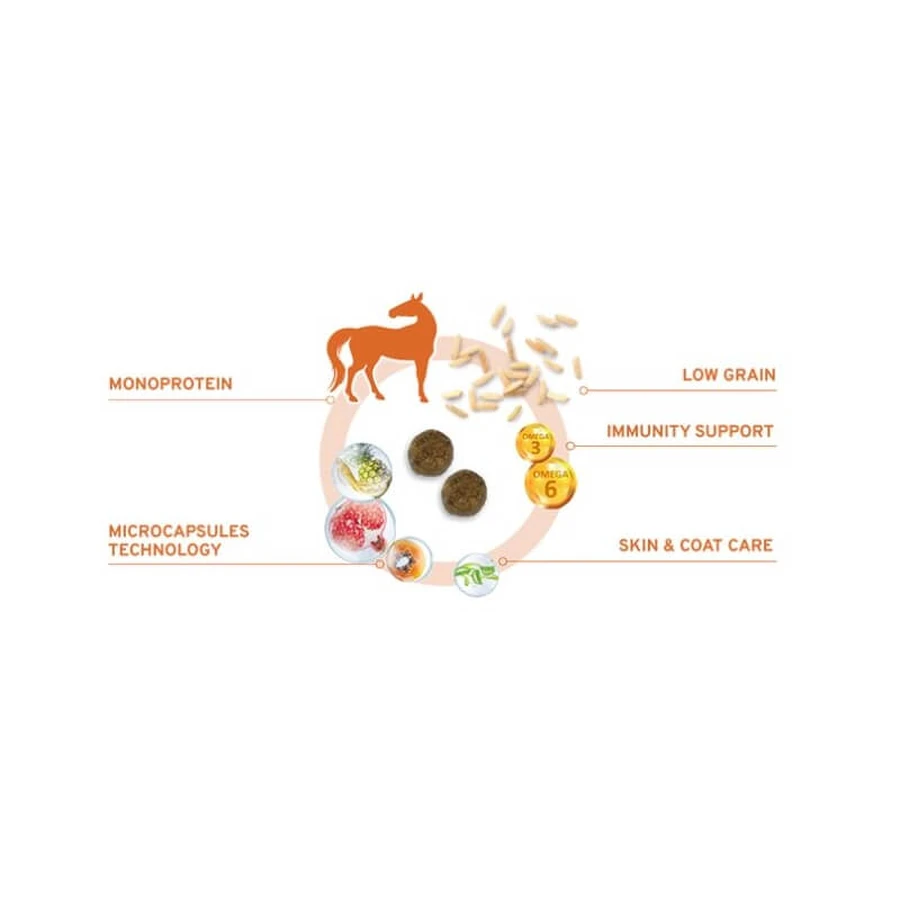 Forza10 Forza 10 dietă medie cu carne de cal și mazăre – hrană dietetică completă pentru câini, 12 kg