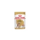 Royal Canin Poodle Adult - Compleet voer voor volwassen poedels, 85 g