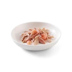 Schesir Tonnetto aux crevettes en gelée - Aliment complet pour chats adultes, 85 g
