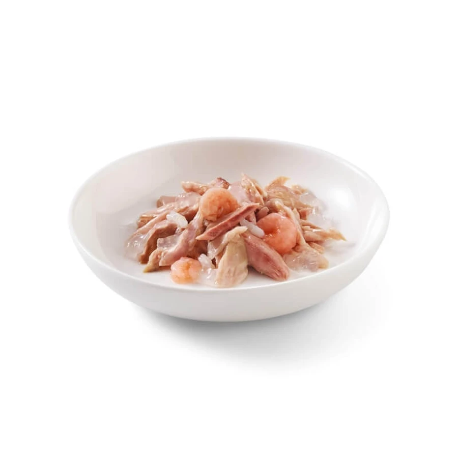 Schesir Tonnetto aux crevettes en gelée - Aliment complet pour chats adultes, 85 g