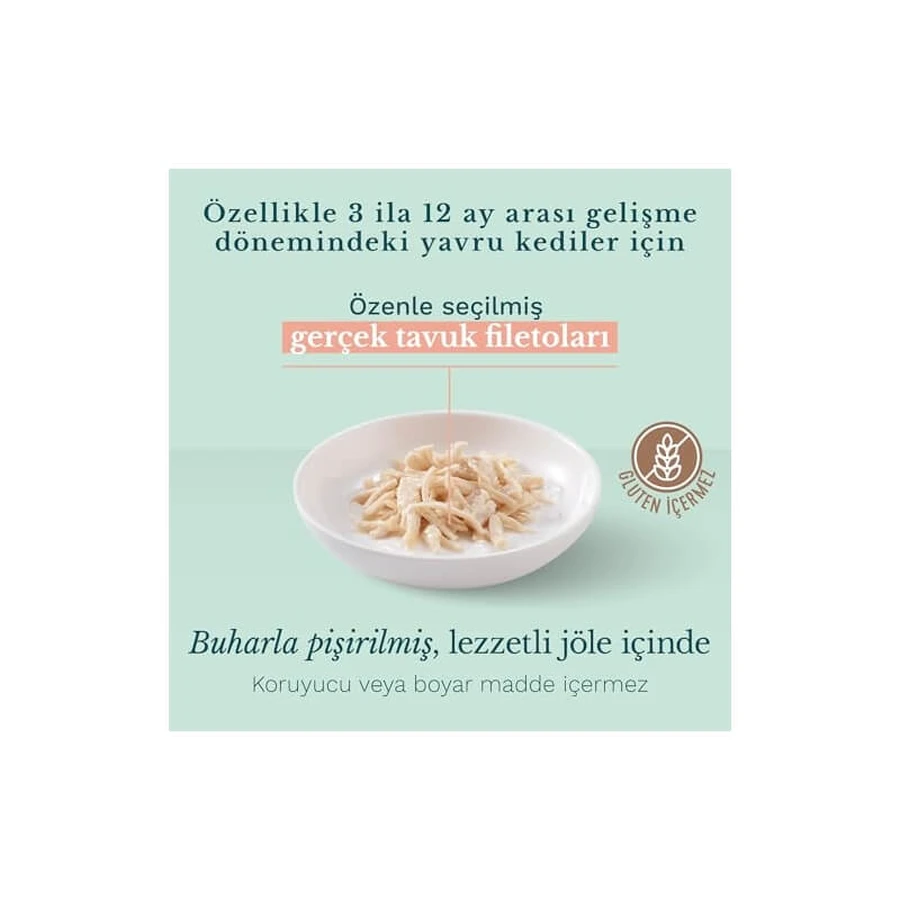 Schesir Kitten Care Tiras de pollo - Alimento completo para gatitos, 85 g