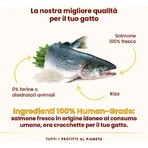 Almo Nature HFC « Our Best » – Saumon très appétissant – Aliment complet pour chats adultes, 1,2 kg