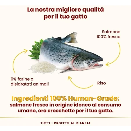 Almo Nature HFC « Our Best » – Saumon très appétissant – Aliment complet pour chats adultes, 1,2 kg