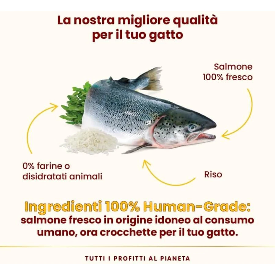 Almo Nature HFC « Our Best » – Saumon très appétissant – Aliment complet pour chats adultes, 1,2 kg