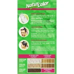 Renee Blanche Natur Green Color – farba do włosów nr 8N jasny blond: ceny i cechy