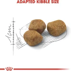 Royal Canin Indoor 7+ Complete Food for Senior Cats, 1.5 kg