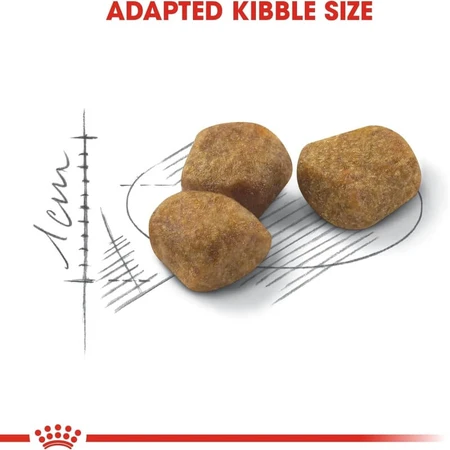 Royal Canin Indoor 7+ Complete Food for Senior Cats, 1.5 kg