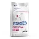 Forza10 Forza 10 Intestinal Active - Aliment complet pour chiens souffrant d'intolérances alimentaires et présentant des problèmes intestinaux, 4 kg