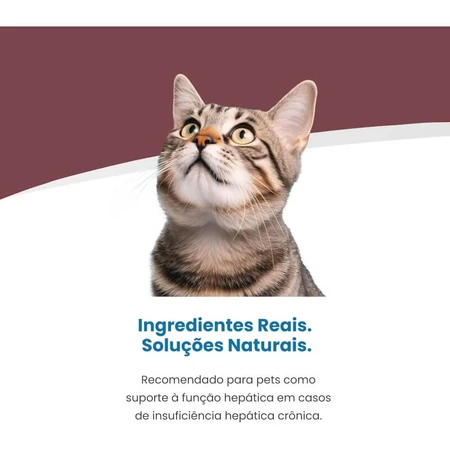 Farmina Vet Life Hepatic - Complete Dietary Food for Cats with Liver Failure, 85 g