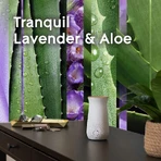 Glade Tranquil Lavender & Aloe – 2 Nachfüllpackungen für den Raumduft-Diffusor