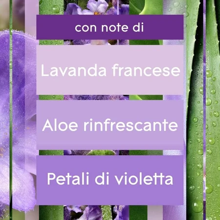 Glade Tranquil Lavender & Aloe – 2 Nachfüllpackungen für den Raumduft-Diffusor