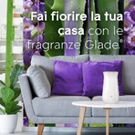 Glade Tranquil Lavender & Aloe – 2 Nachfüllpackungen für den Raumduft-Diffusor