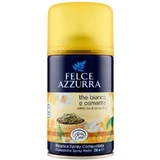 Blue Fern Aria di Casa: té blanco y osmanto - Recambio para difusor de fragancias para el hogar, 250 ml