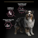 Purina Pro Plan Adult 7 Plus Sensitive Skin pentru câini de talie medie și mare, cu somon – hrană completă pentru câini, 3 kg