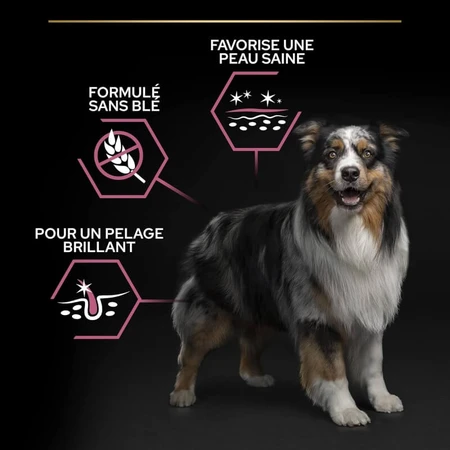 Purina Pro Plan Adult 7 Plus Sensitive Skin pentru câini de talie medie și mare, cu somon – hrană completă pentru câini, 3 kg