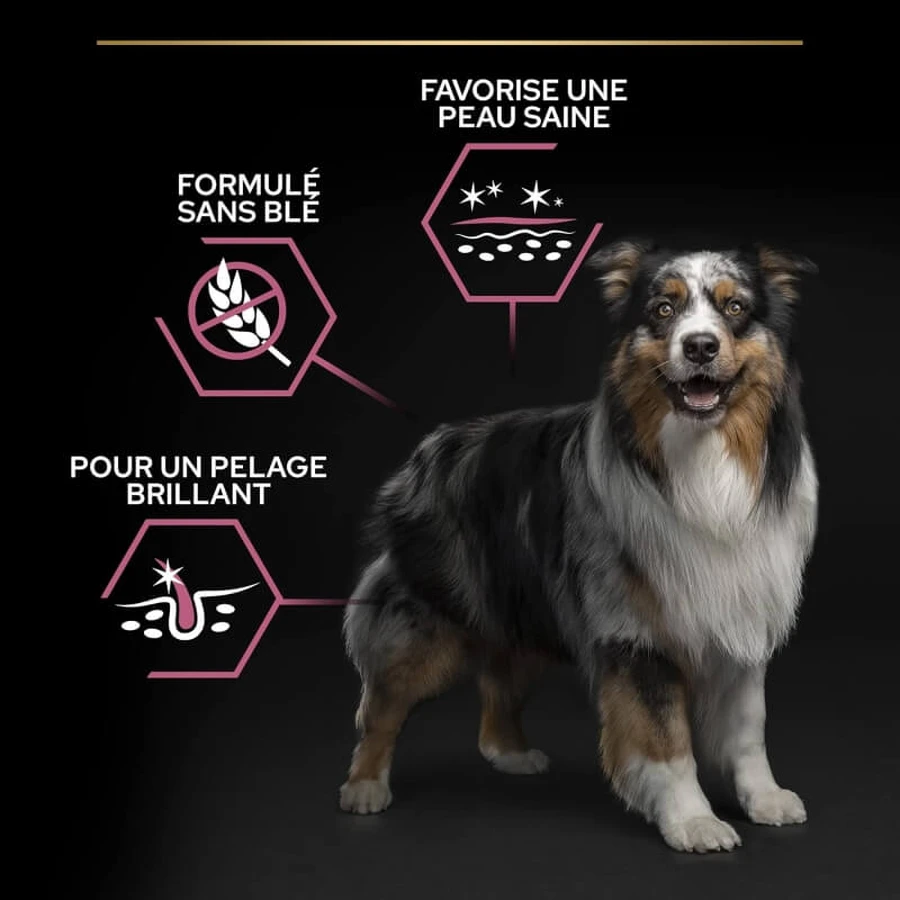 Purina Pro Plan Adult 7 Plus Sensitive Skin pentru câini de talie medie și mare, cu somon – hrană completă pentru câini, 3 kg
