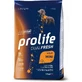 Prolife Dualfresh Adult Mini à la dinde, au porc et au riz - Aliment complet pour petits chiens adultes, 2 kg