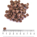 Prolife Dualfresh Adult Mini mit Truthahn, Schweinefleisch und Reis – Alleinfuttermittel für kleine erwachsene Hunde, 2 kg