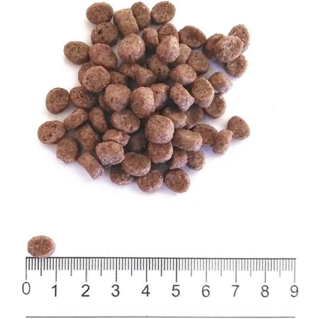 Prolife Dualfresh Adult Mini mit Truthahn, Schweinefleisch und Reis – Alleinfuttermittel für kleine erwachsene Hunde, 2 kg