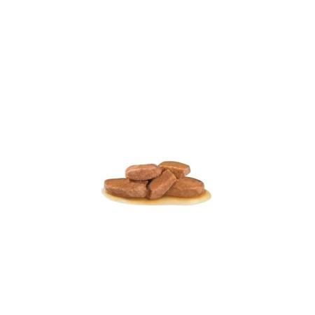 Royal Canin Urinary S-O - Alimento dietético completo para perros con cálculos de estruvita, 12 bolsitas de 100 g cada una