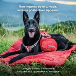 Kurgo Wander Bed Loft - Almohada de viaje roja para perros, talla L