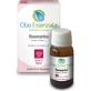 Magenta Herbal Shop Rosemary Essential Oil 10 ml