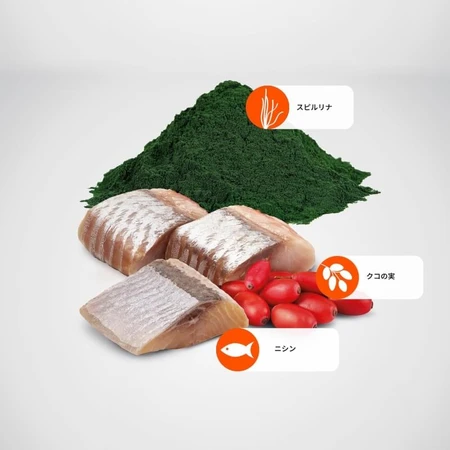 Farmina N&amp;d Spirulina y arenque - Alimento completo para gatos adultos, 1,5 kg