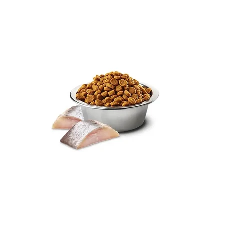 Farmina N&amp;d Spirulina y arenque - Alimento completo para gatos adultos, 1,5 kg