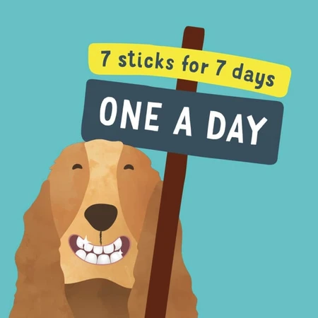 Edgard & Cooper Doggy Dental - Plant-Based Dental Sticks for Large Dogs, Strawberry and Mint, 255 g