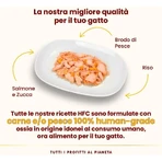 Almo Nature HFC Naturlachs und Kürbis – Ergänzungsnahrung in Form von Nassfutter für ausgewachsene Katzen, 55 g