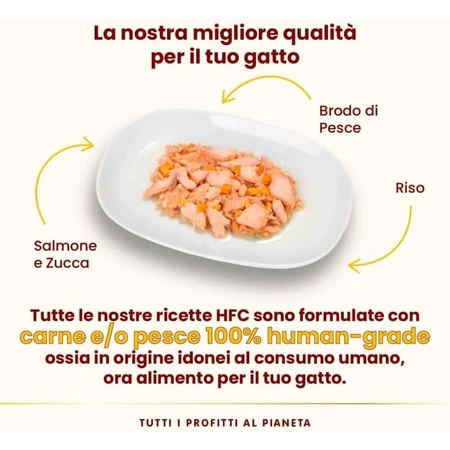 Almo Nature HFC Naturlachs und Kürbis – Ergänzungsnahrung in Form von Nassfutter für ausgewachsene Katzen, 55 g