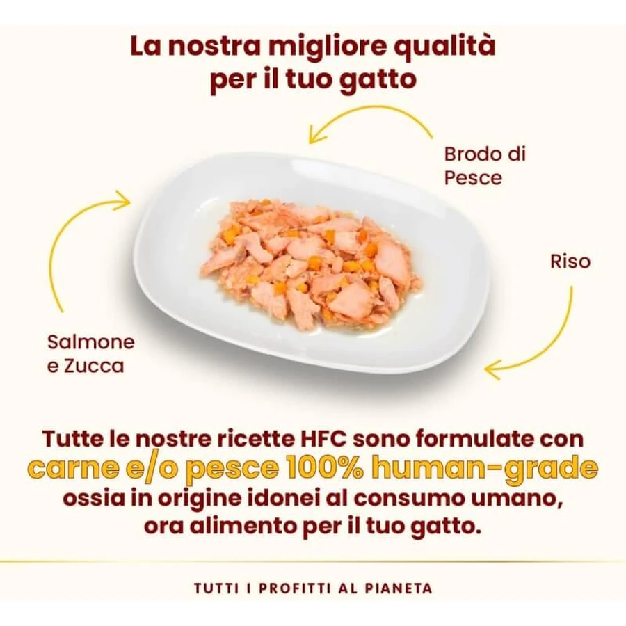 Almo Nature HFC Naturlachs und Kürbis – Ergänzungsnahrung in Form von Nassfutter für ausgewachsene Katzen, 55 g