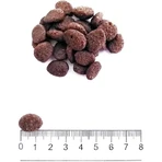 Prolife Grain-Free Puppy Sensitive Sole and Potatoes - Alimento completo para cachorros con sensibilidad (tamaño mediano/grande), 2,5 kg