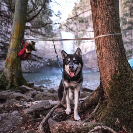 Sistema de sujeción Kurgo Ridgeline: kit de anclaje con tirolina de 9 metros para perros