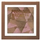 Bellaoggi Precious Multicolor Tech Bronzer – Bronzing-Puder Nr. 120 Warm Sun