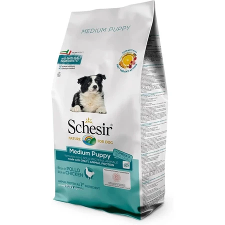 Schesir Medium Puppy au poulet - Aliment complet pour chiots de taille moyenne, 12 kg