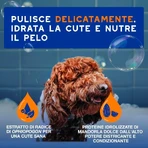 Ceva Animal Health Douxo spa - Shampooing et après-shampooing 2 en 1 : nettoyant hydratant et démêlant pour animaux de compagnie, 250 ml
